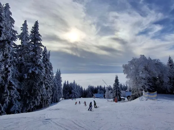 2026-02-02 Lyžák